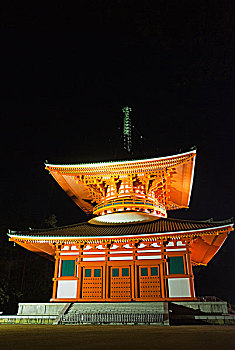 日本,塔,夜晚,光亮,泛光灯,高野山,和歌山