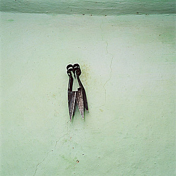 室内,羊圈,一对,金属,绵羊,大剪刀,悬挂,绿色,涂绘,墙壁,罗马尼亚,五月,2006年