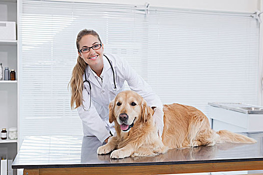 微笑,兽医,检查,拉布拉多犬