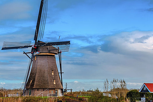 风车,天空,小孩堤防风车村,荷兰
