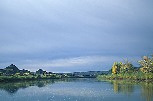 赤鹿,河,挨着,德兰赫勒,艾伯塔省,荒地,加拿大