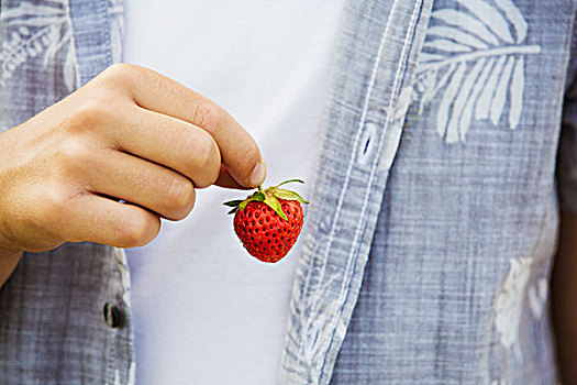 特写,男孩,衬衫,拿着,新鲜,草莓