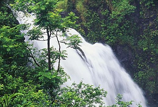 夏威夷,毛伊岛,叶子,瀑布,公路