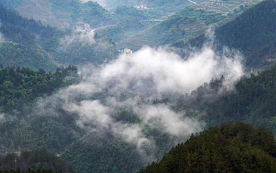 重庆酉阳,雨后清晨乡村美