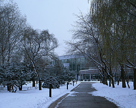 公园,冬季风景