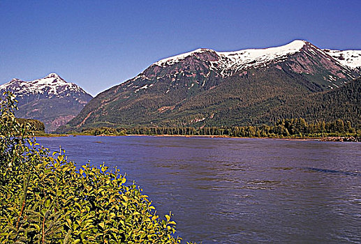 河,平台,王子,不列颠哥伦比亚省,加拿大