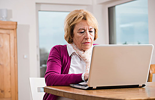 老年,女人,工作,笔记本电脑,德国