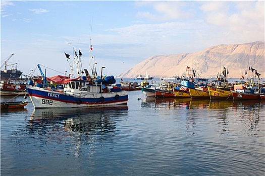 渔船,智利