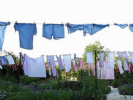 艺术,动作,蓝色,洗衣服,晾衣服,花园