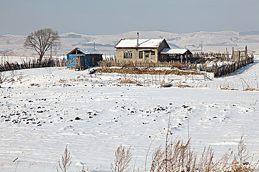 东北吉林省敦化市两江镇农村雪景