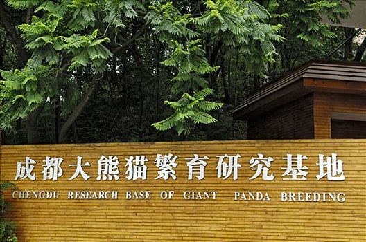 入口,熊猫,饲养,车站,靠近,成都,中国,亚洲