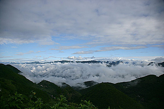 巫溪云台山清晨雨过天晴的云雾