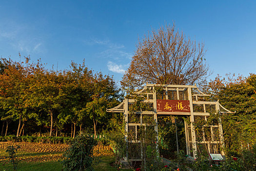 郑州植物园