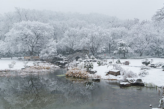 武汉冬日雪景风光