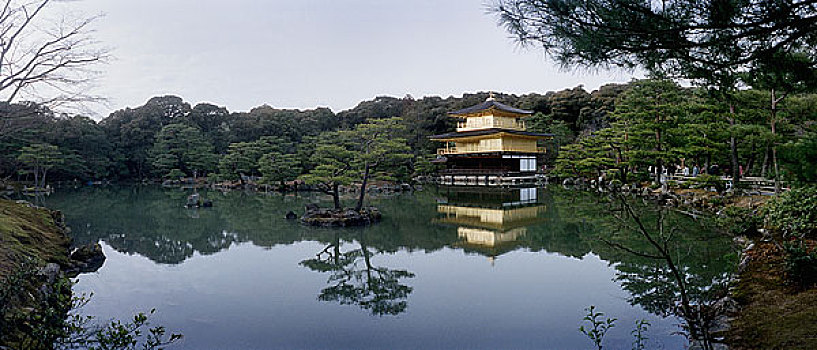 日本,京都,金庙,印度
