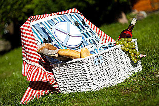 野餐篮,绿色,草坪