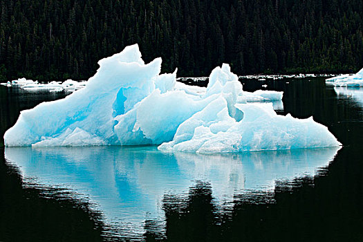 阿拉斯加,冰山,东南阿拉斯加