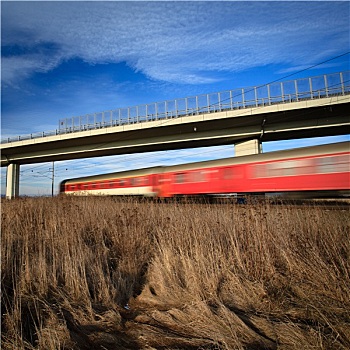 高速列车,桥,可爱,夏天,动感