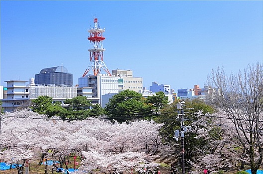 和歌山,日本