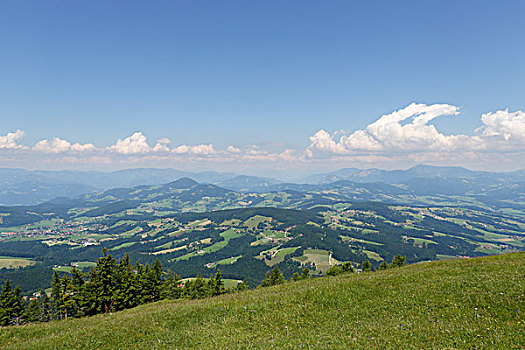 风景,西部,顶峰,山,靠近,格拉茨,食草动物,区域,施蒂里亚,奥地利,欧洲