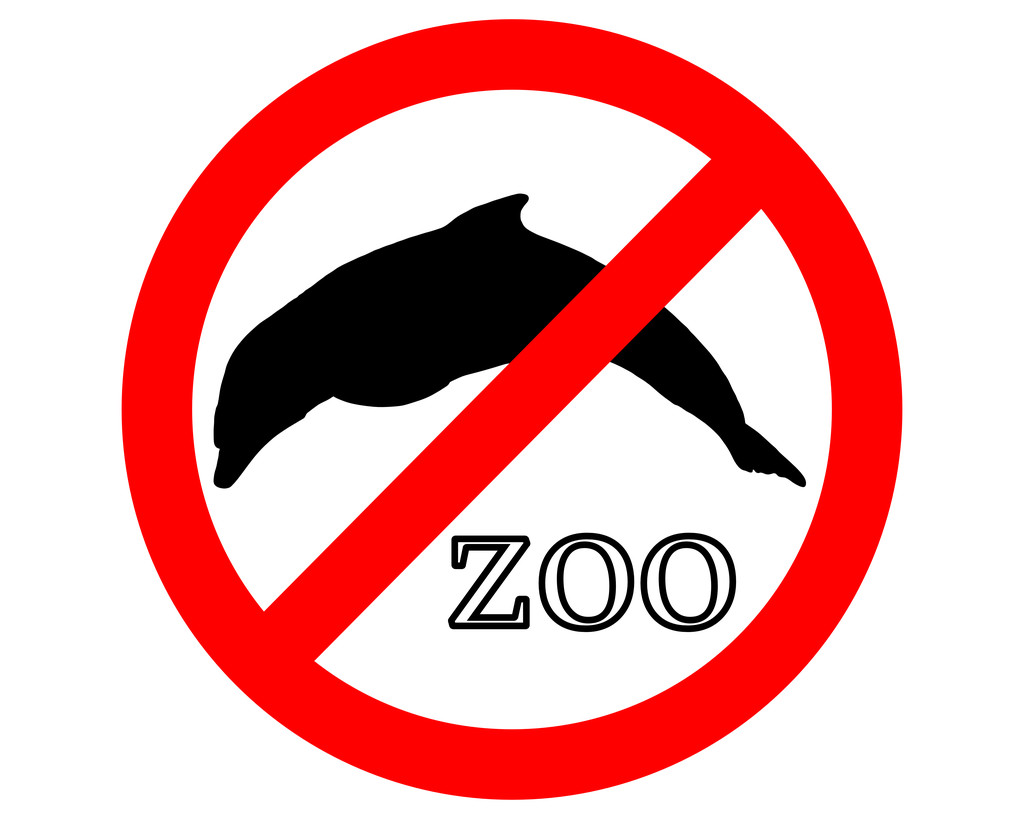 保护动物警示牌图画图片