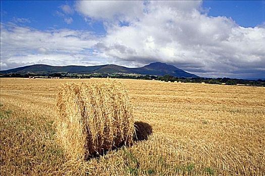 干草包,地点,半岛,爱尔兰