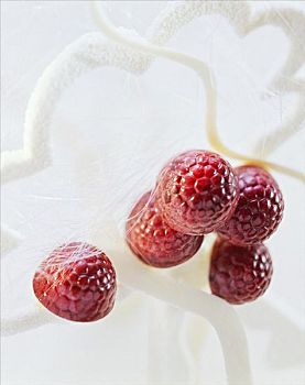 树莓,巧克力,酸奶