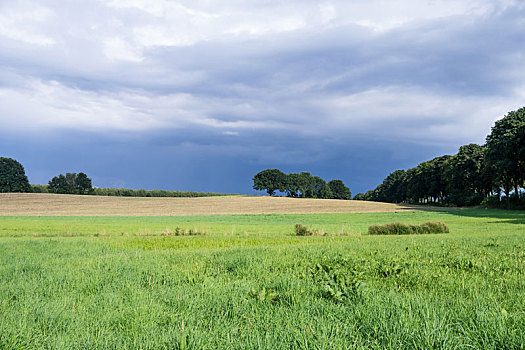 风景,雷暴