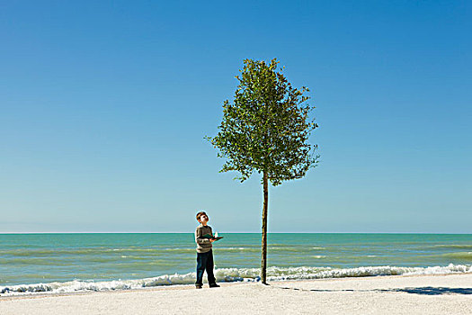 男孩,站立,海滩,翻书,赞赏,树,沙子