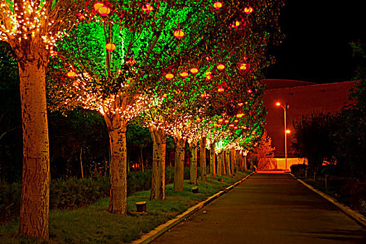 夜晚路边一排整齐的树挂着中国灯笼和彩灯
