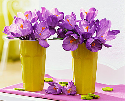 紫色,藏红花,广口容器