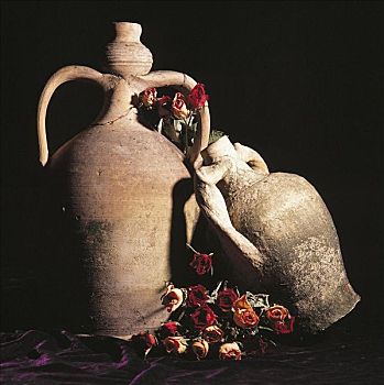 双耳器皿,老,陶器,花瓶,干燥,玫瑰