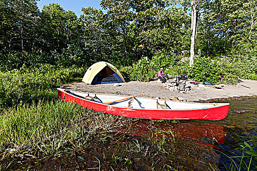 女人,营地,独木舟,法国河,省立公园,安大略省,加拿大