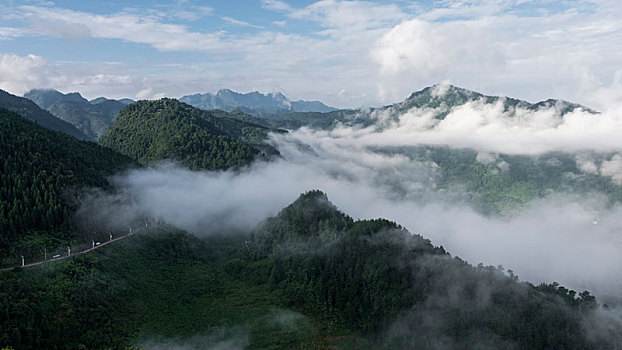 重庆万盛黑山谷早晨的云海