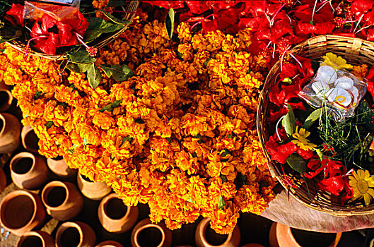 花,宗教,仪式,瓦腊纳西,北方邦,印度,亚洲