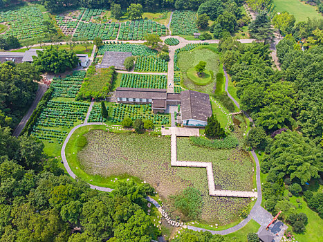 武汉,东湖,山风,景区,夏日,航拍,风光