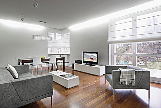 蒼白,灰色,優雅,沙發,低,白色,桌子,相對,電視,餐具柜,胡桃,木地板,現代,室內,百葉窗,落地窗