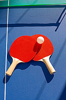 乒乓球拍照片 素材图片