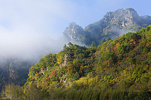 山坡,植被,自然,风光,本溪,湖里村,秋季,红叶,色彩,艳丽,云雾