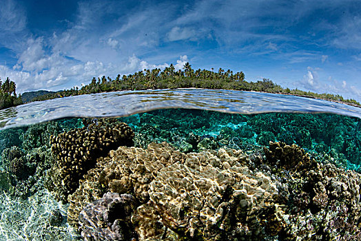 上方,海底,两个,小,岛屿,靠近,法属玻利尼西亚,迅速,流水,珊瑚