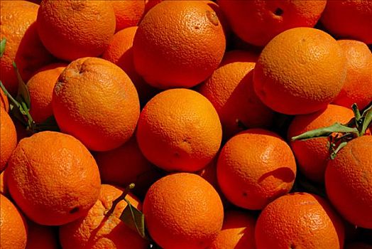 橙色,橘子,市场,卡萨布兰卡,摩洛哥
