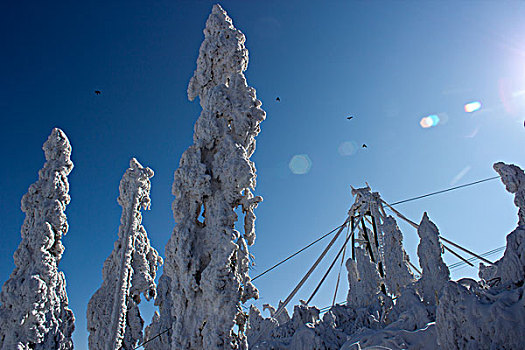 高空雪景