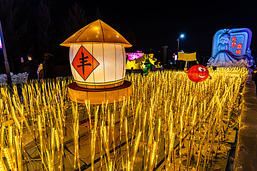 中国长春南湖公园冰雪灯光展夜景