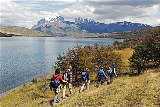 远足者,泻湖,托雷德裴恩国家公园,巴塔哥尼亚,智利,南美