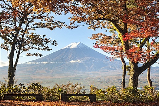 山,富士山,秋色,日本