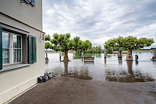 洪水,康士坦茨湖,瑟尔高,瑞士,欧洲