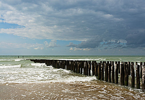 防波堤,荷兰,海岸