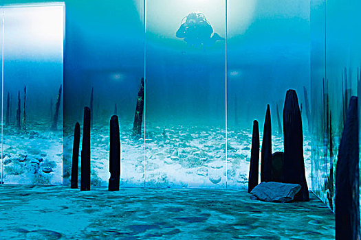 水下景象,博物馆,康士坦茨湖