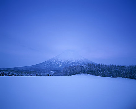 雪地,山