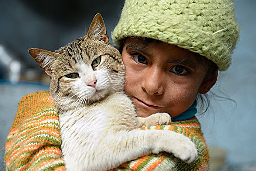 女孩,8岁,拿着,猫,省,秘鲁,南美,慈善